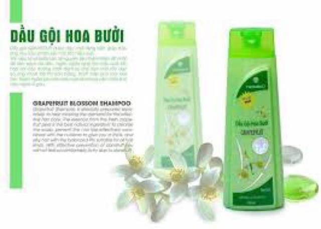 Dầu gội +xã Thorakao