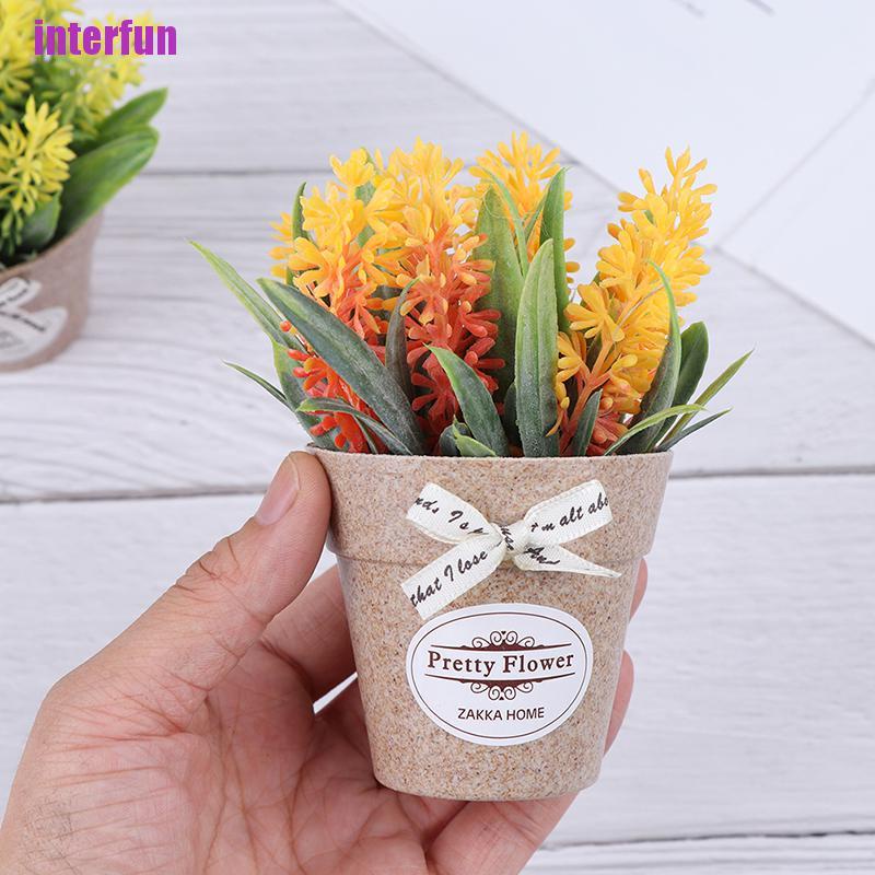 Chậu cây cảnh giả mini trang trí nội thất