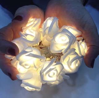 Đèn led hoa hồng 10m 50 bông