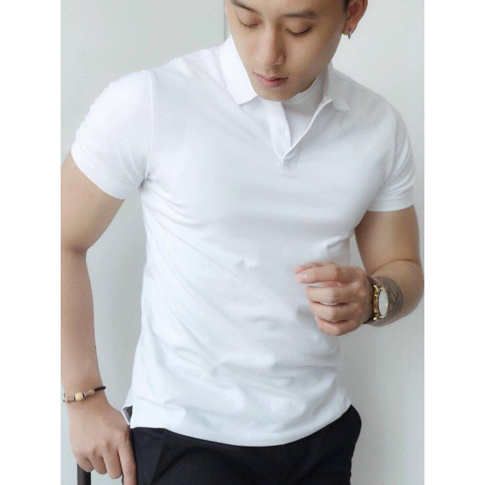 Áo thun nam polo tay ngắn giá rẻ vải trơn có cổ F8888 Ngắn Tay ACB013