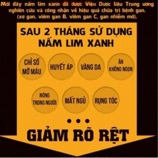 NẤM LIM XANH RỪNG(gói 1kg loại to,đẹp)