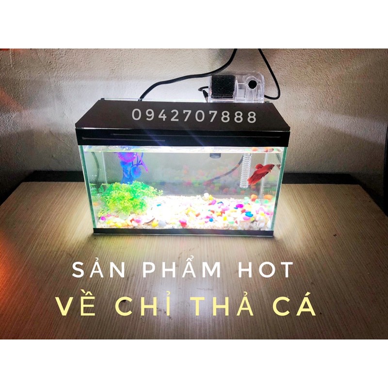 Set bể cá mini có lọc kèm nắp đèn và 7 món( bể, lọc, cây, sỏi màu, vỏ sò biển, nắp đèn led, thức ăn cá)