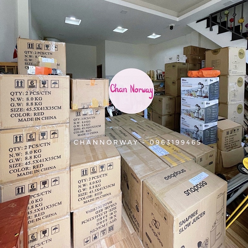 Máy Ép Chậm Snapbee Mini SK-202VN - Ép Trái Cây, Rau Củ Siêu Kiệt Bã