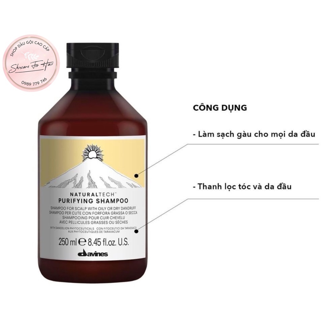 Dầu gội dành cho da đầu gàu DAVINES PURIFYING dung tích 250ml