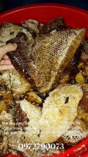 Mật ong rừng U Minh nguyên chất 1l