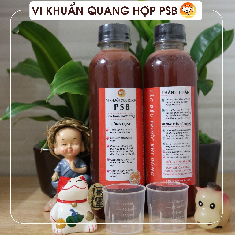 Vi sinh PSB