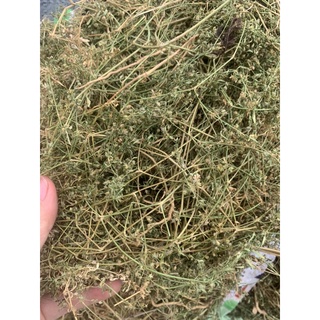 Thảo dược Rau Đắng Đất khô