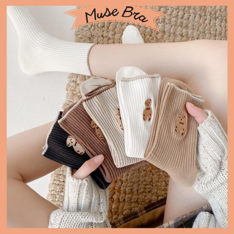 Set 5 Đôi Tất Gấu Nâu Cao Cổ Phong Cách Hàn Quốc Siêu Hot Trẻ Trung