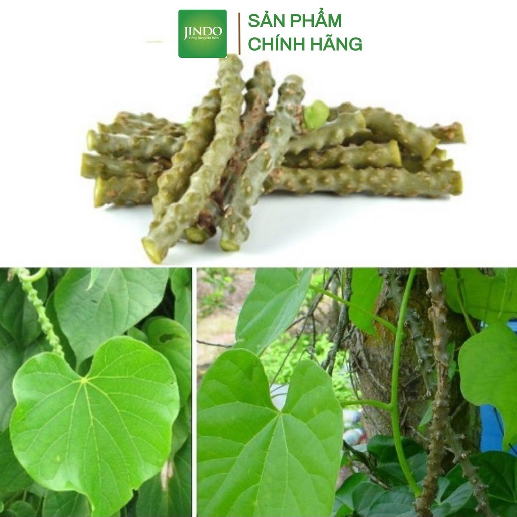 Cây thần thông khô JINDO 1kg tác dụng ngủ tốt, hỗ trợ điều tr_ị cảm sốt