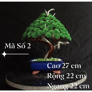 Cây cảnh bonsai handmade