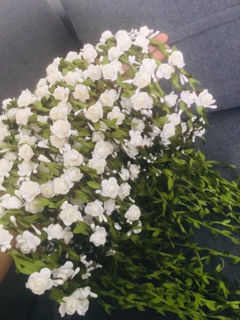Combo sỉ Vòng hoa đội đầu, vòng hoa đội đầu kỉ yếu, vòng hoa đội đầu chụp hình kỉ yếu, vòng hoa đội đầu kỷ yếu