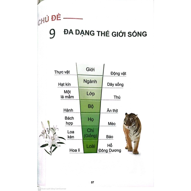 Sách - Tóm Tắt Lý Thuyết Khoa Học Tự Nhiên Lớp 6