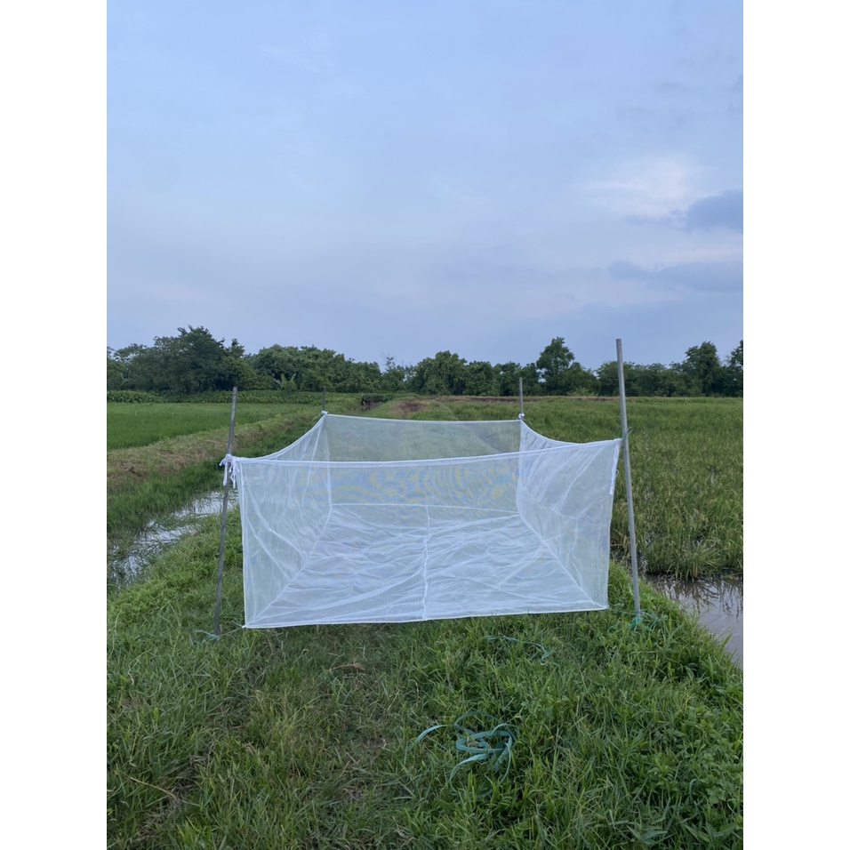 Tráng nuôi ốc nhồi , ốc bươu chuyên nghiệp có 19 kích thước lựa chọn