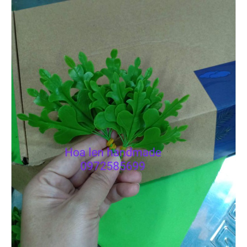 10 nụ hoa sao nhái /nhụy sao nhái