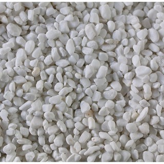 1kg sỏi trắng-đá trắng trang trí bể cá (kích thước 1-2 cm)