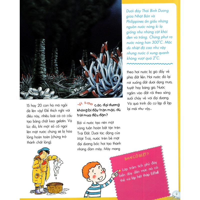 Sách Vì Sao? Như Thế Nào? Biển (Tái Bản)