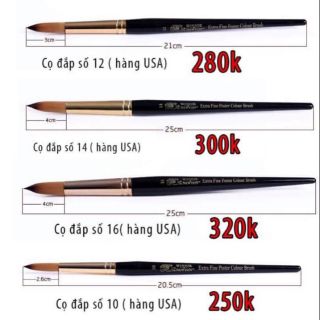 Cọ đắp size 10,12,14,16 Mỹ siêu xịn PK nail