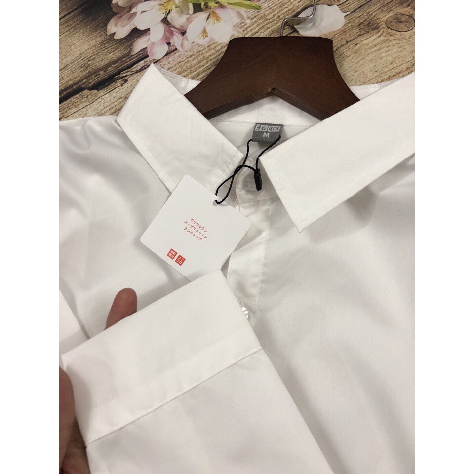 SỈ LẺ SƠ MI NỮ 2 MÀU XANH TRẮNG VNXK | BigBuy360 - bigbuy360.vn