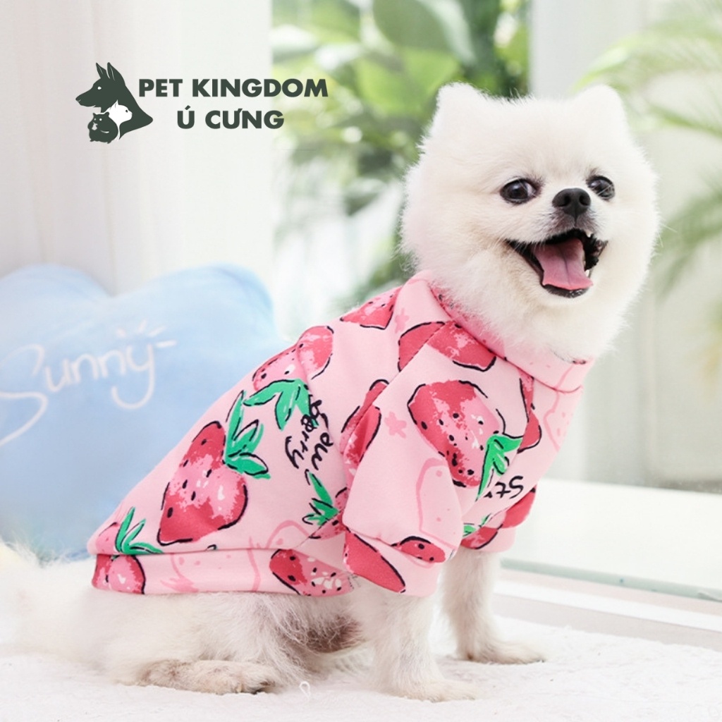 Áo Chó Mèo Nỉ Bông Mùa Đông 2 Chân Dễ Thương