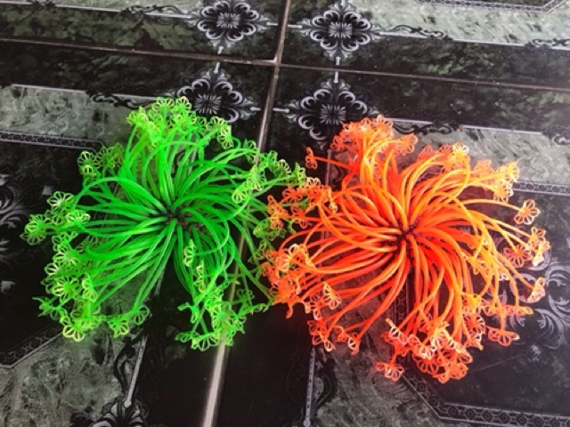 RONG NHẬP DẠ QUANG TRANG TRÍ HỒ CÁ NON BỘ