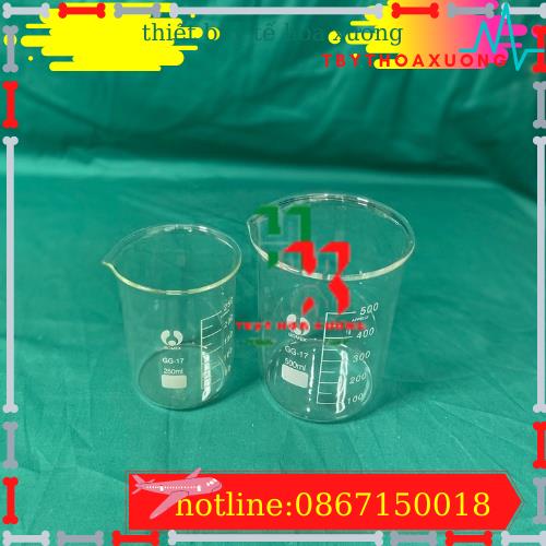 Cốc ThủyTinh Thí Nghiệm Chịu Nhiệt Từ 50 ml Đến 500 ml Có Chia Vạch Đo Thể Tích (Nhiều Kích Cỡ)
