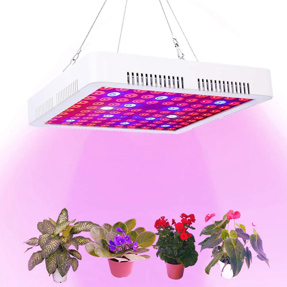 300W LED Grow Light cho cây trồng trong nhà - Full UV UV & IR Plant Grow Light cho Hydroponic Veg Bloom Seedling (300W)