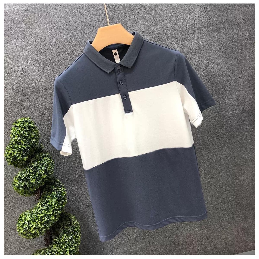Áo polo nam phối màu trẻ trung lịch sự phong cách hàn quốc | BigBuy360 - bigbuy360.vn