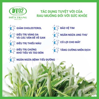 Hạt giống Rau muống 100gram (Trang Nông)