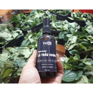 Com bo 1 trầu không và 1 hương nhu Việt Kết