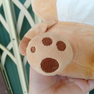 Gấu bông mèo cutie mineco