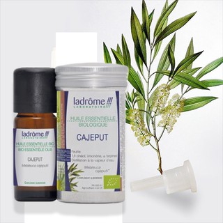 Tinh Dầu Organic Tràm gió - Cajeput