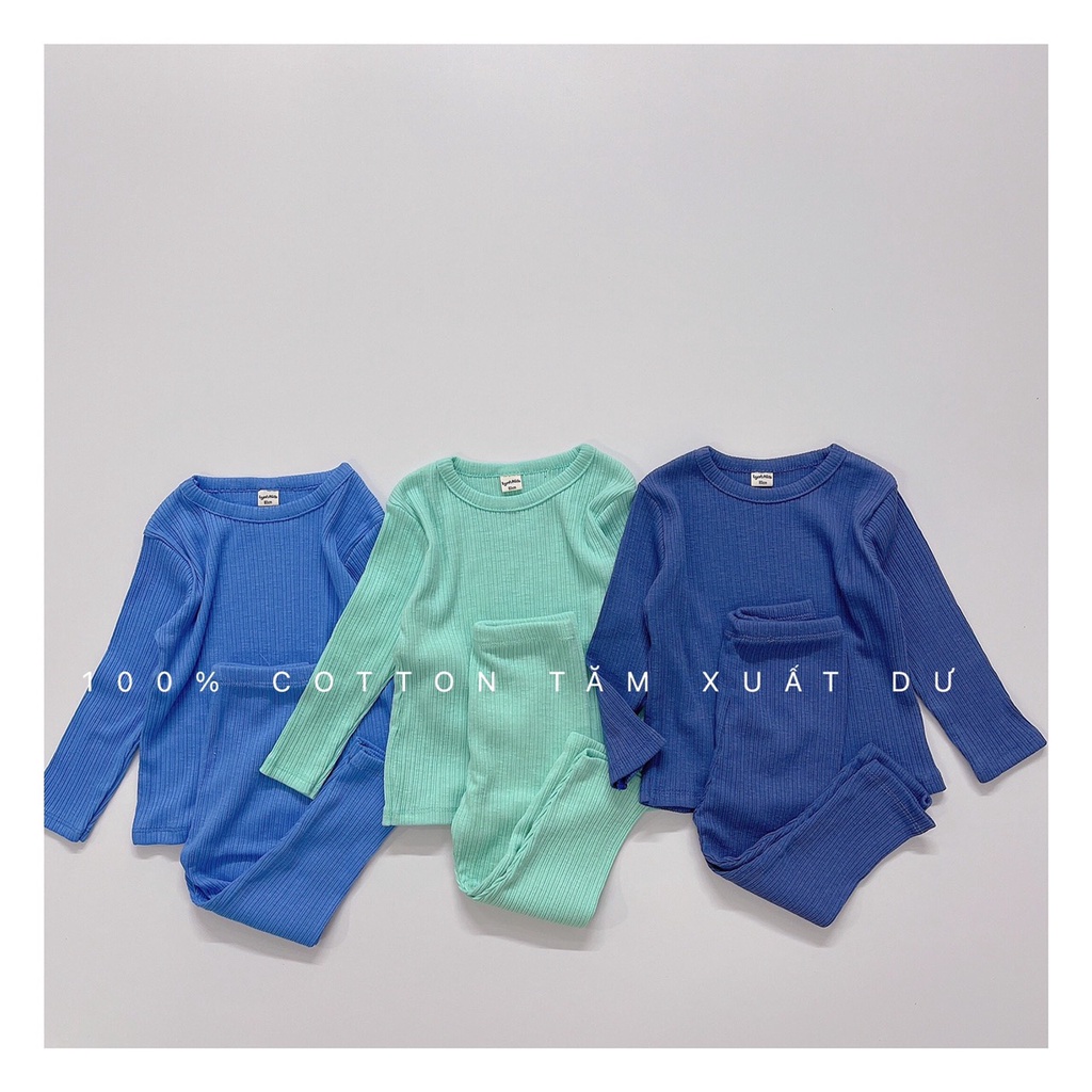 [10-22kg] Bộ dài tay bé gái thun borip xuất dư họa tiết siêu dễ thương, đồ bộ tay dài quần dài thu đông