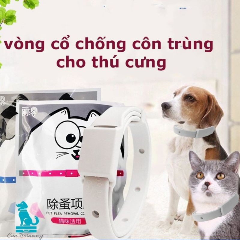 Vòng cổ chống bọ chấy trên da lông cún, mèo