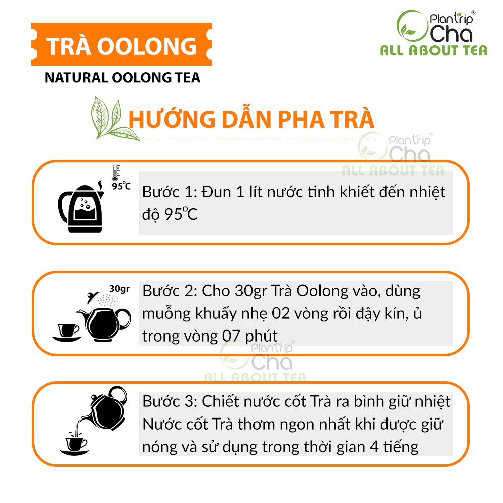 Trà Oolong Thiết Quan Âm Plantrip Cha 100gr-250gr Cực Phẩm Trà Oolong