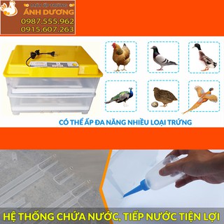 [Hàng Chính Hãng ] - Máy ấp trứng ánh dương A100 loại 1 tầng khay đảo nhôm, ấp tự động 1-50 trứng