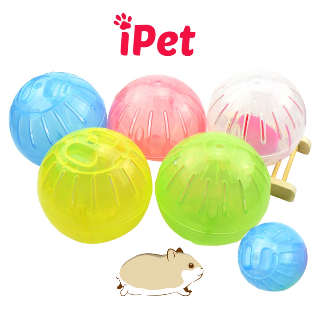 Đồ Chơi Bóng Chạy Cho Hamster, Banh Chạy Nhựa Lăn Tự Do Trong Nhà - iPet Shop