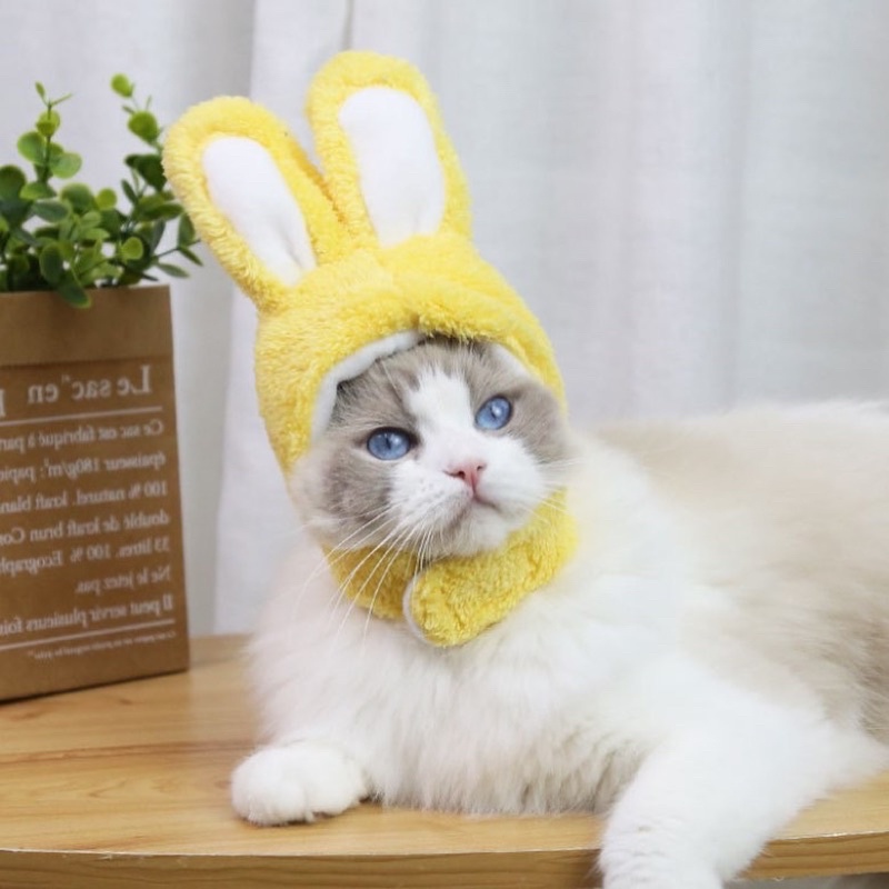 Mũ lông tai thỏ cho thú cưng siêu cute, nón cho chó mèo