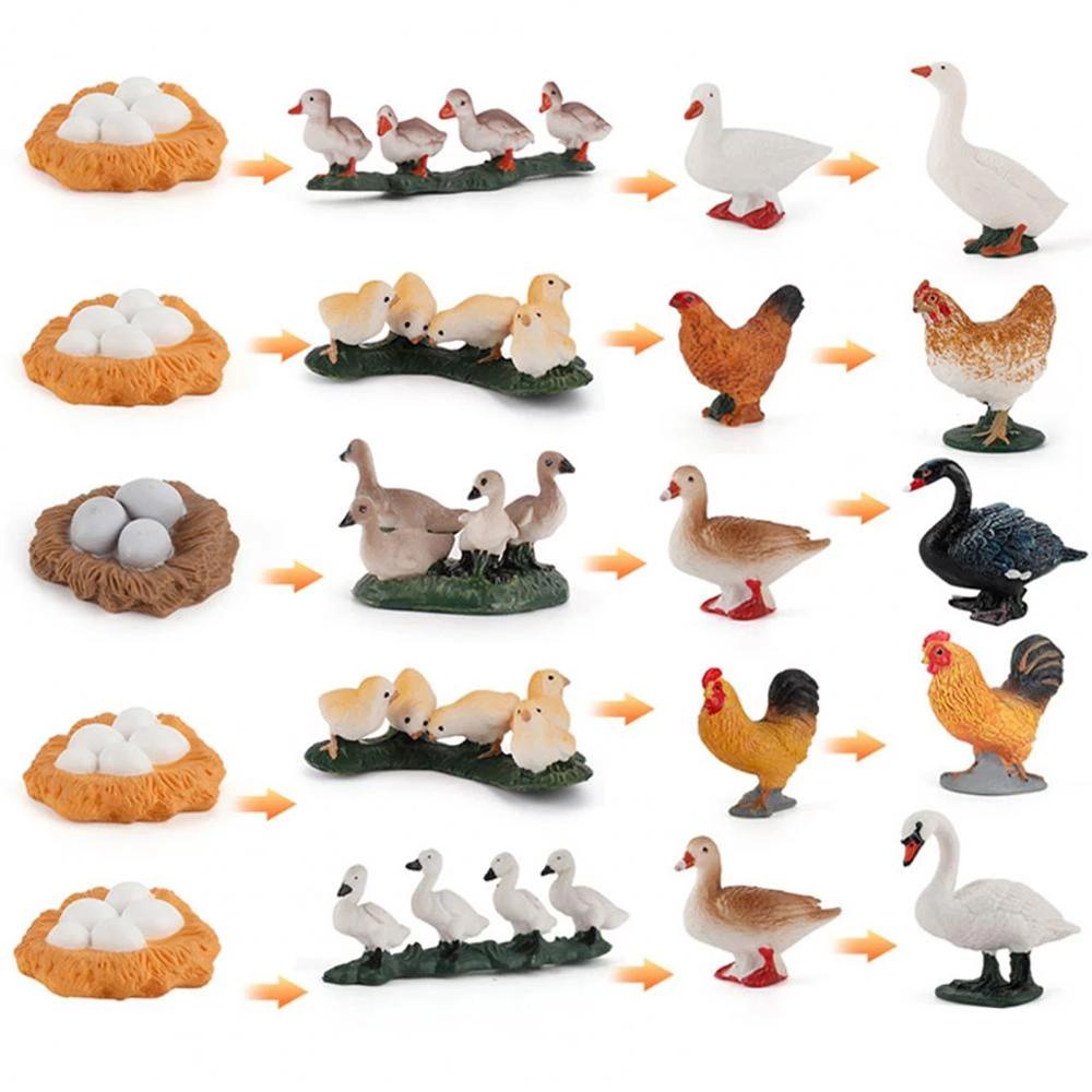 Set 4 Mô Hình Đồ Chơi Chú Vịt Kích Thích Tăng Trưởng Cho Bé
