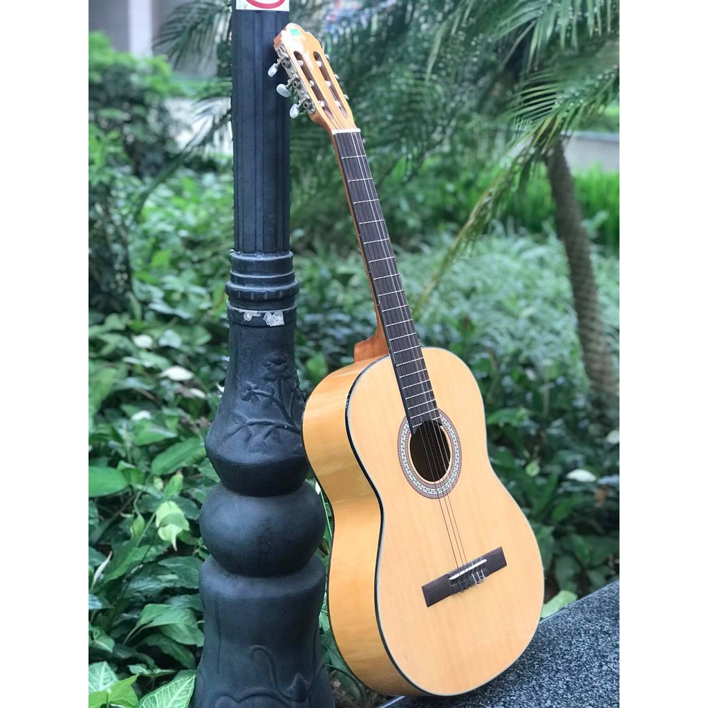 Guitar Classic REX HGW195 Giá Tốt - Âm Hay - Nhập Khẩu Singapo - Phân Phối Sol.G