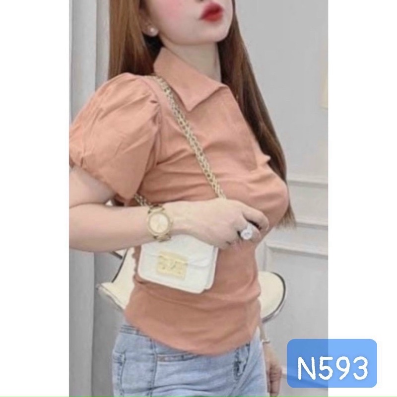 Áo thun borip tay phồng SL alohashop91