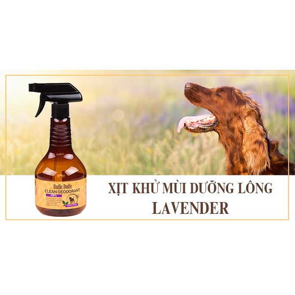 "530ml"XỊT KHỬ MÙI DƯỠNG LÔNG HƯƠNG LAVENDER đã tạo nên hương hoa tự nhiên, thơm dịu, giúp cún giảm stress.