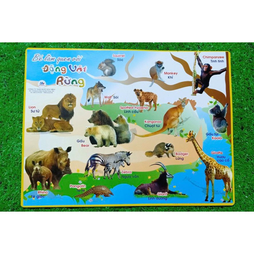 Tranh hình ảnh cho bé