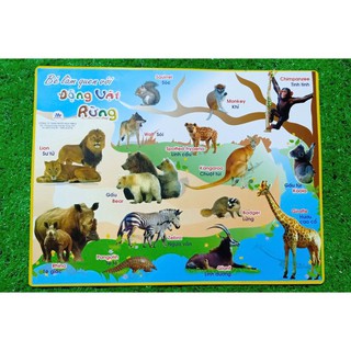 Tranh hình ảnh cho bé