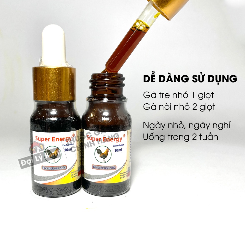 Dinh dưỡng nuôi gà đá, dành cho lỏn lẻn, cự yếu Super Energy, chai 10ml, nhập khẩu Thái Lan chính hãng