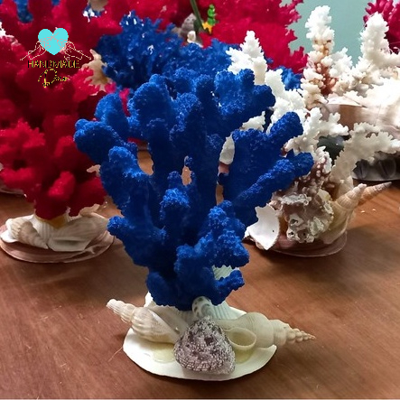 San Hô tự nhiên cho bể cá, bể thủy sinh trang trí tiểu cảnh không gian biển