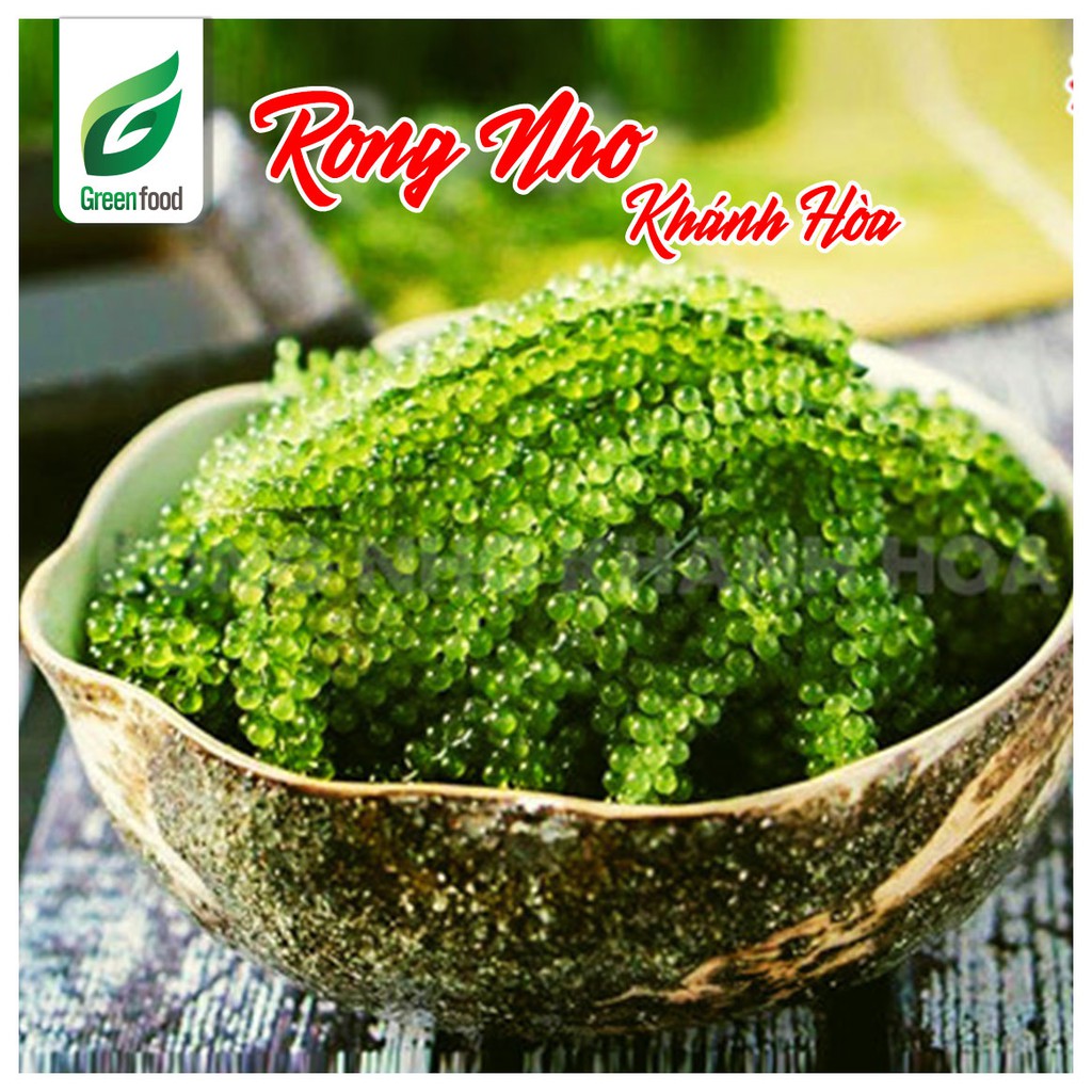 Rong Nho Tách Nước Khánh Hòa 25g - Viên ngọc xanh của biển cả - GreenFood | BigBuy360 - bigbuy360.vn
