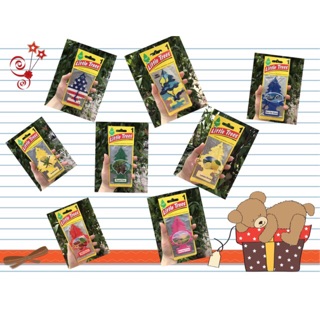 Combo 5 CÂY THÔNG THƠM LITTLE TREES - cây thông thơm Mỹ