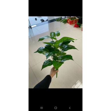 Cây hồng môn sang trọng, cây hoa giả trang trí hàng rào, tường hoa, khuôn viên khách sạn