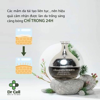 Kem đêm Collagen rebirth