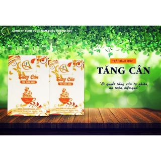 TRÀ THẢO MỘC TĂNG CÂN HOÀNG ANH